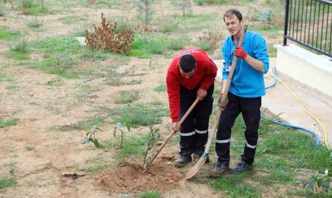 Menteşe Akçaova TOKİ Sitesi'nden 11 Kasım'da 'Yeşil Vatan' İçin Fidan Dikimi