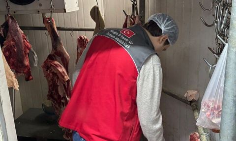Menteşe'de kasap ve et işletmelerine kapsamlı ortak denetim