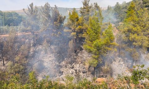 Mersin'de Yabani Ot Temizliği Faciası: 1 Kayıp