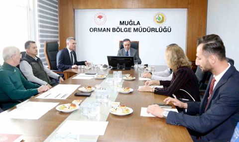 Muğla'da 11 Kasım Ağaçlandırma Günü Hazırlıkları Tamamlandı