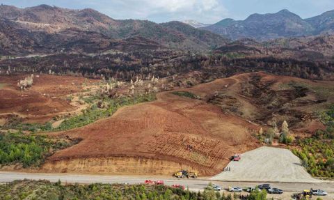 Muğla ve Aydın’da 11 Kasım’da 30 Noktada Fidan Dikimi