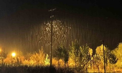 Muş’ta kar yağışı 14 köy yolunu kapattı, 4 araç mahsur kaldı