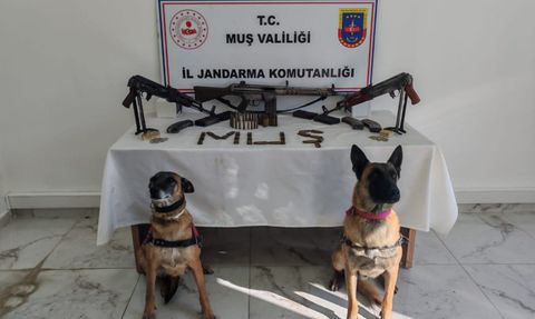 Muş'ta Ruhsatsız Silah Operasyonu