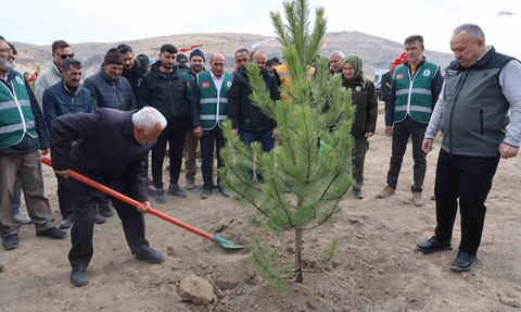 Nevşehir'de 18 bin 500 fidan toprağa verildi
