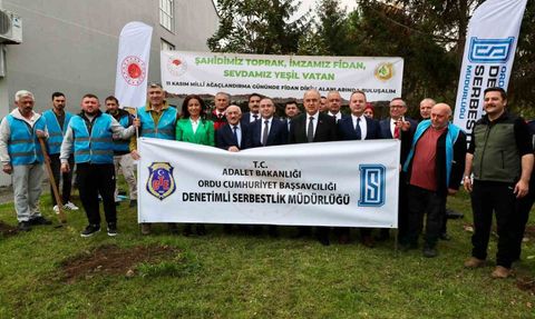 Ordu'da 11 Kasım'da fidan dikimi: 350 bin fidan hedefi