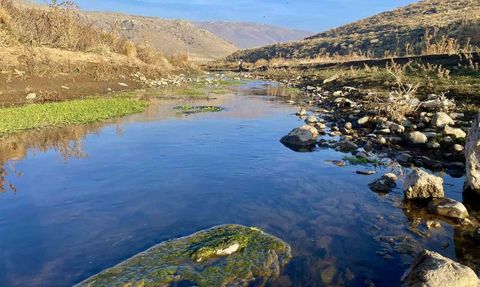 Patnos'ta Sonbahar Kartpostalları: Sararan Yaprakların Büyüsü