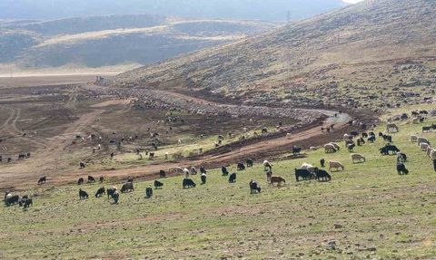 Pervari’de Zirin Gölü taş tahkimatıyla korunuyor