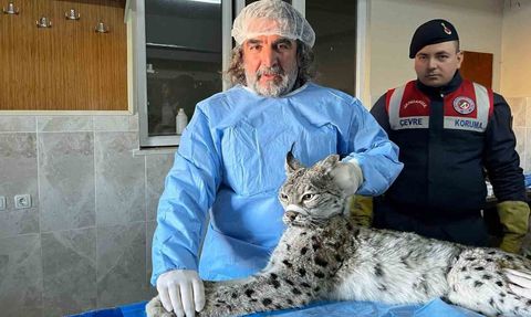 Prof. Dr. Aslan: İnsan-yaban hayvanı teması biyogüvenlik riski taşıyor