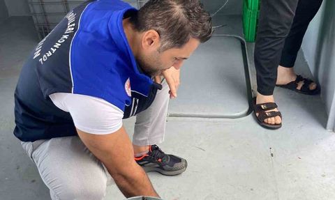 Samsun’da 1 milyon 843 bin 550 kilo hamsi denetlendi