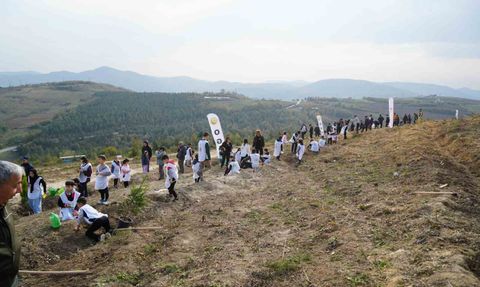 Samsun’da 11 Kasım Milli Ağaçlandırma Günü: 37 bin 380 fidan toprakla buluştu