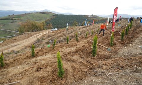 Samsun'da 11 Kasım Milli Ağaçlandırma Günü'nde 37 Bin Fidan Dikilecek