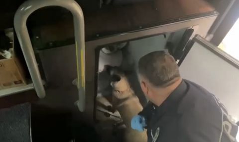 Samsun'da Yolcu Otobüsünde 2 Kilo Metamfetamin Ele Geçirildi