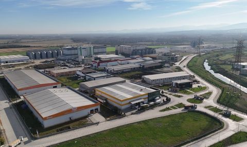 Samsun Gıda OSB, 100'ün Üzerinde Ülkeye İhracat Yapıyor