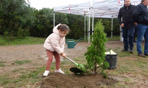 Sancaktepe’de Milli Ağaçlandırma Günü’nde yüzlerce fidan toprağa verildi