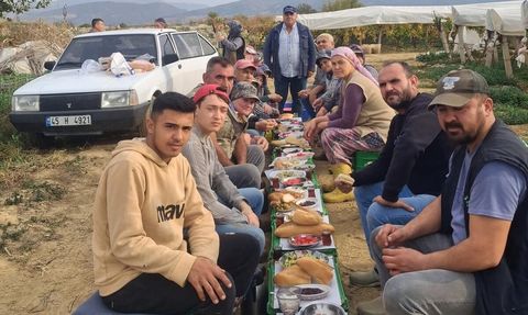 Sarıgöl'de Üzüm Alıcısından İşçilere Geleneksel İkram