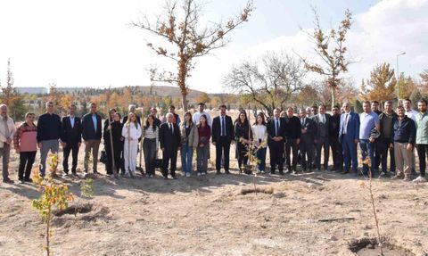 Selçuk Üniversitesi'nde Milli Ağaçlandırma Günü'nde yüzlerce fidan dikildi