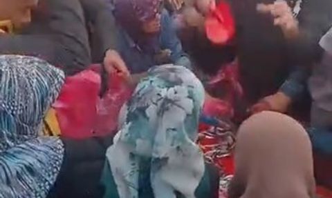 Seyitgazi'de Ücretsiz Hamsi Dağıtımına Yoğun İlgi