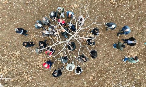 Siirt’te fıstık üreticilerine teorik ve uygulamalı budama ile gübreleme eğitimi