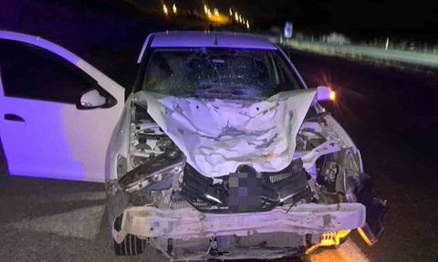 Siirt'te Kurtalan Kaynaklı'da otomobilin çarptığı at telef oldu