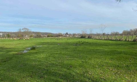 Sinop Abalı'da dere taşkınları köylüleri tedirgin ediyor