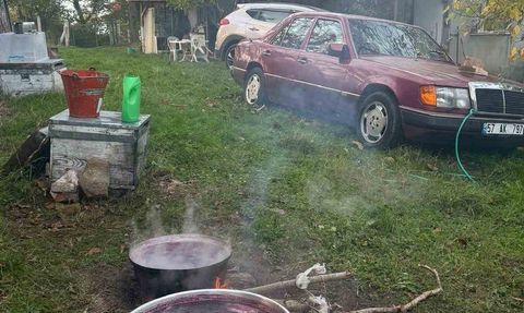 Sinop köylerinde kazanlar kaynıyor: Kışlık pekmez mesaisi