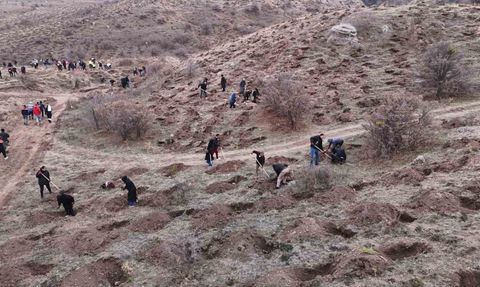 Sivas’ta 58 bin fidan toprakla buluşturuldu