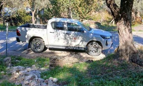 Söke'de Akdeniz meyve sineği popülasyonunda artış