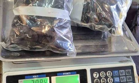 Söke’de Alo 174 ihbarıyla gıda denetimi: Numuneler laboratuvara gönderildi