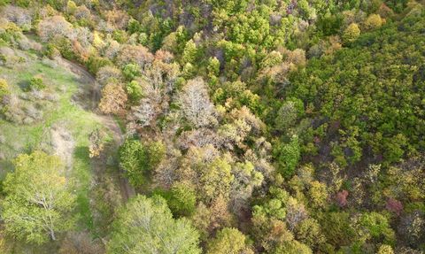Sonbahar Renkleriyle Tekirdağ Ormanları