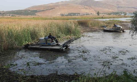 Su sümbülleri depremzede kadınların elinde ekonomiye dönüşüyor