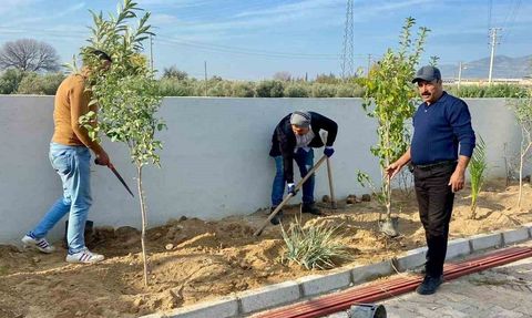 Sultanhisar'da Evcil Hayvan Merkezi Çevresine Yeşil Dokunuş