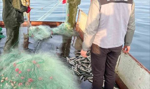 Tatvan ekiplerinden Van Gölü'nde kapsamlı balıkçılık denetimi