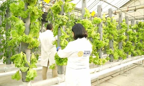 TENMAK ile Gıda Güvenliğinin Güçlendirilmesi