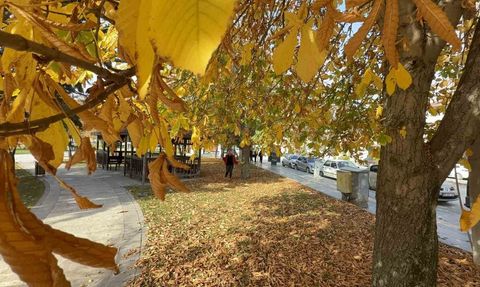 Tokat'ta sonbaharda parklar renk cümbüşü
