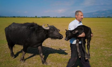 Tokatlı fırın ustası XMAGE'de dünya ikincisi oldu, Paris ödül törenine vize engeliyle katılamadı