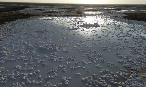 Tuz Gölü’nde çekilen sular Pamukkale’yi andıran tuz kütleleri ilgi odağı oldu
