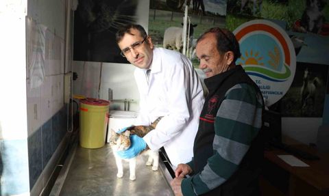 Uşak'ta kedi ve köpeklerin mikroçip ile PETVET kaydı zorunlu oldu