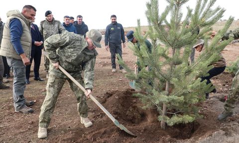 Üsteğmen İsmail Aksu anısına 2 bin 400 rakımlı tepede fidan dikildi