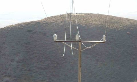 Van'da düşen enerji hattı yaban hayvanlarını telef etti