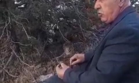 Van'da nesli tehlike altındaki vaşak görüntülendi