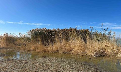 Van Gölü Havzası'nın Ekosistem Üzerindeki Önemi