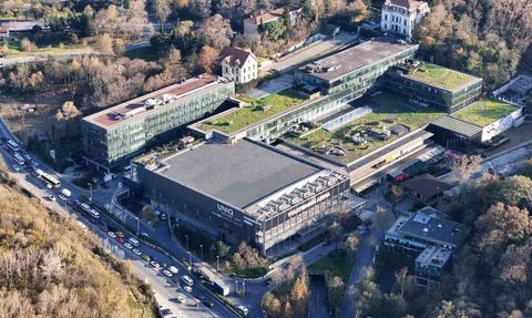 Volkswagen Arena'da Papa 14. Leo için sıkı hazırlıklar