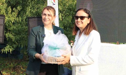 Yalova'da coğrafi işaretli kivi hasadı törenle başladı