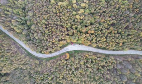 Yalova Ormanlarında Sonbaharın Renkleri