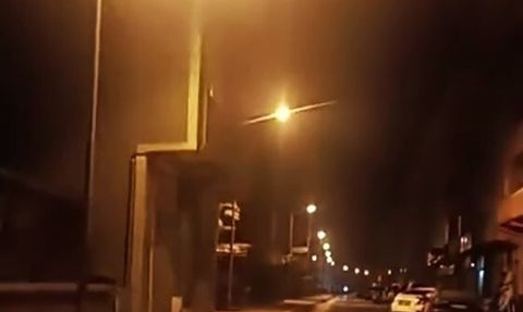 Yenice'de anne ayı ve iki yavrusu ilçe merkezinde görüldü