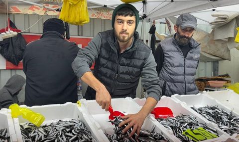 Zonguldak'ta hamsi fiyatları hava koşullarıyla yükseldi