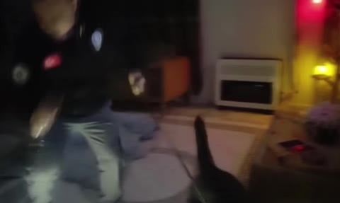 Adana'da torbacı operasyonu: 156 bin 418 hap ele geçirildi, 5 tutuklama