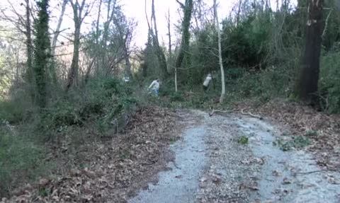 Akseki'nin defne hasadı: Köy meydanından Avrupa pazarına