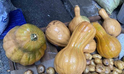 Alaşehir pazarında bal kabağı: Kendisi ve çekirdeği şifa kaynağı
