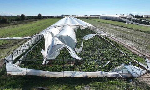 Antalya'da hortum seralarda büyük hasar bıraktı